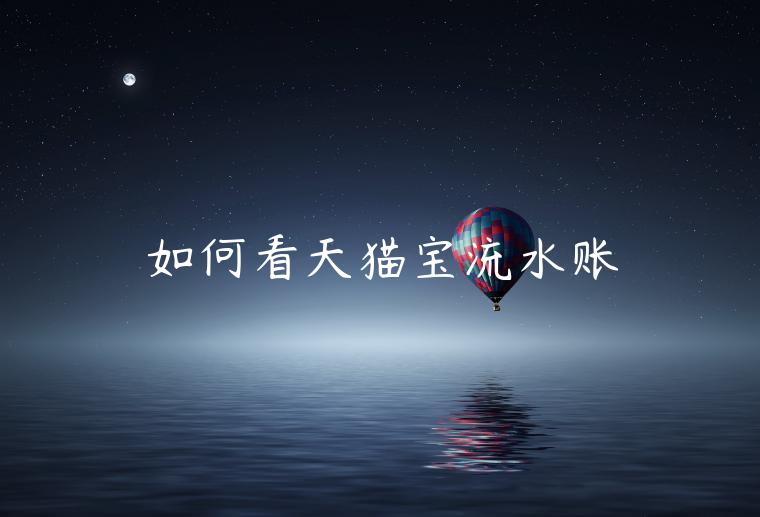 如何看天貓寶流水賬